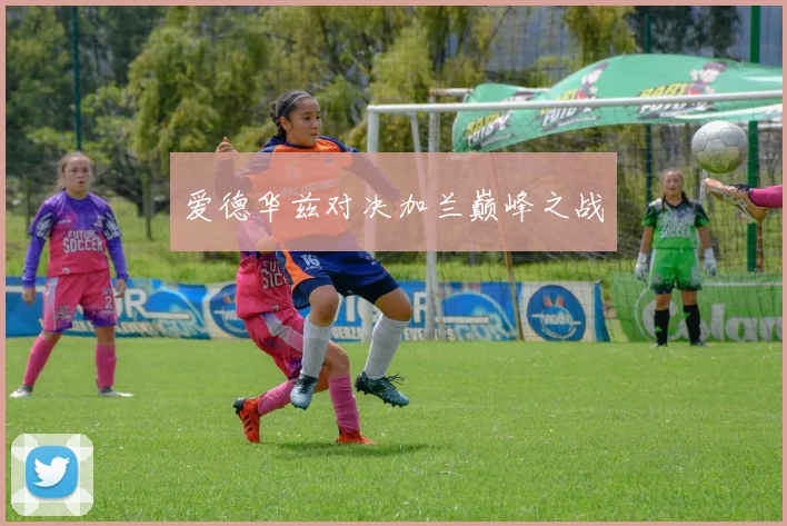 爱德华兹对决加兰巅峰之战