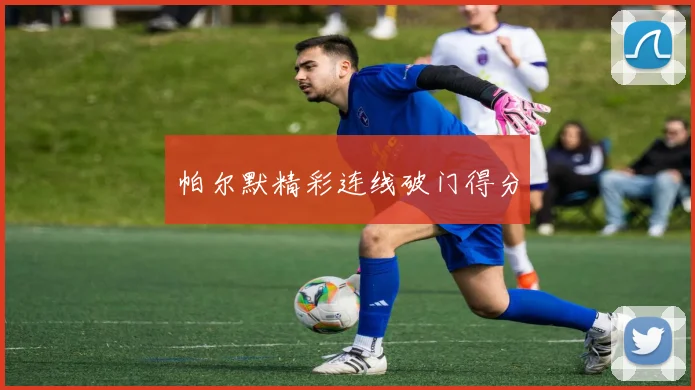 帕尔默精彩连线破门得分