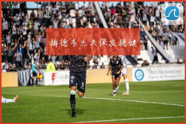 梅德韦杰夫保发稳健