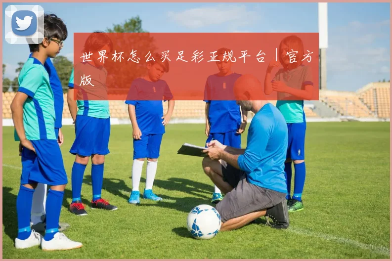 世界杯怎么买足彩正规平台｜官方版