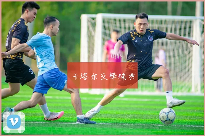 卡塔尔交锋瑞典