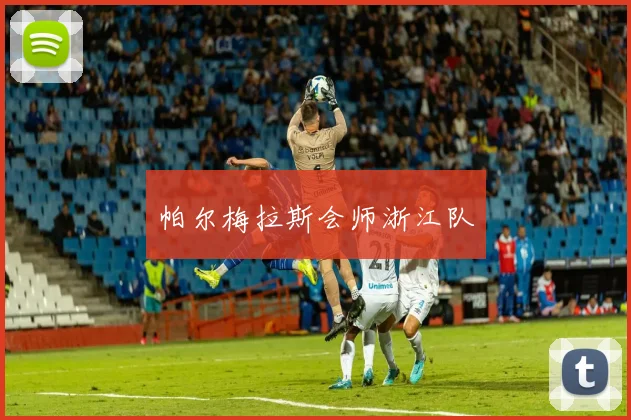 帕尔梅拉斯会师浙江队