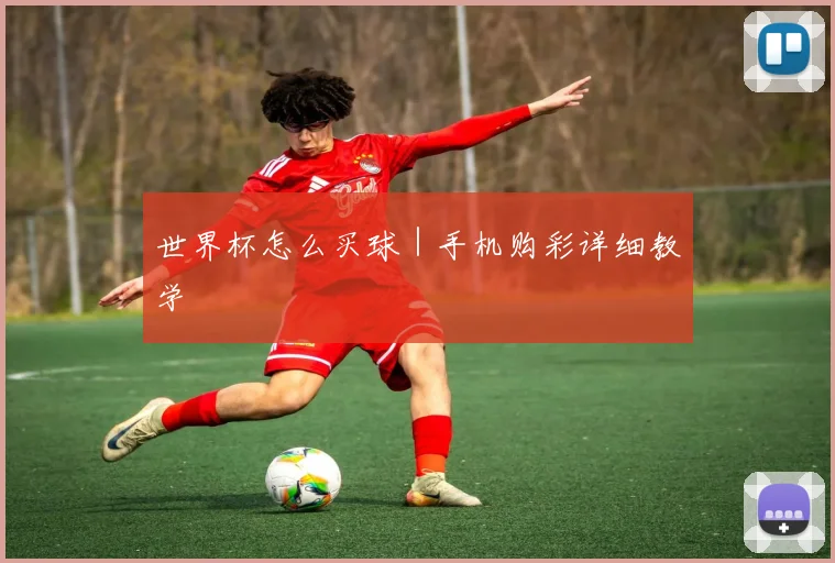 世界杯怎么买球｜手机购彩详细教学