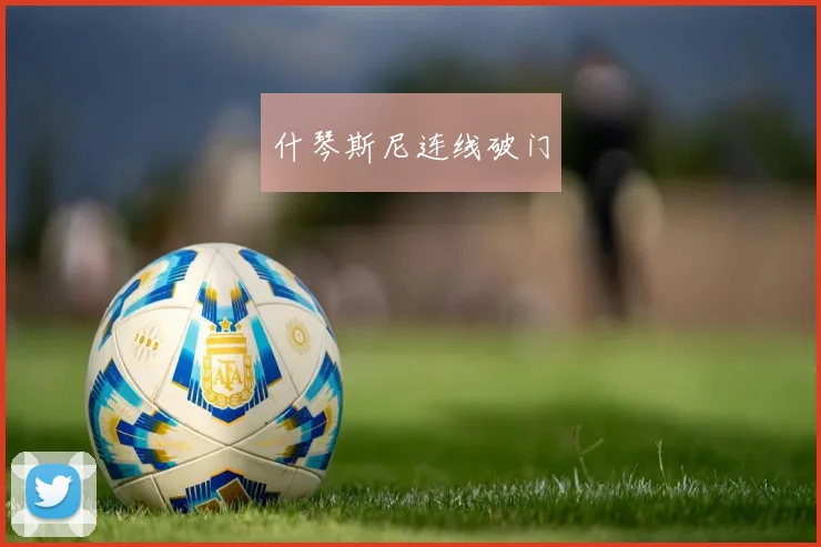 什琴斯尼连线破门